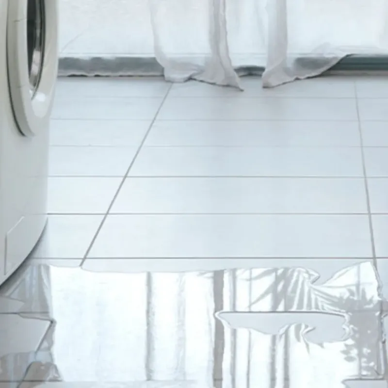 Appliance Leak Cleanup in Wallace, ID