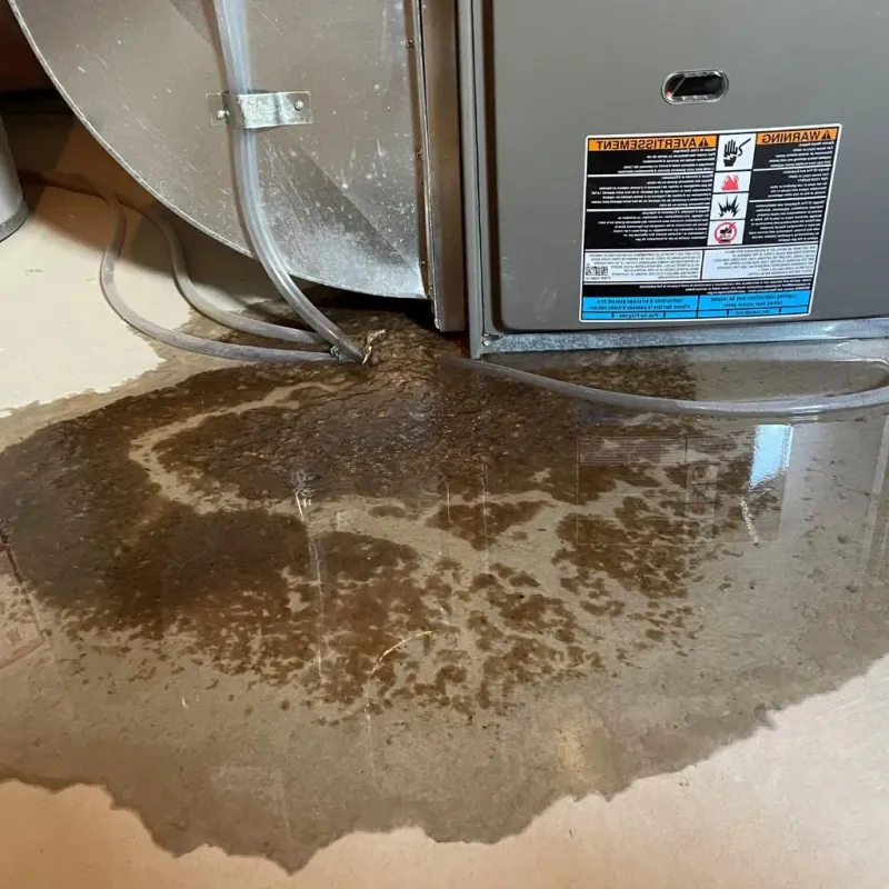 Pipe Burst and Leak Restoration in Wallace, ID